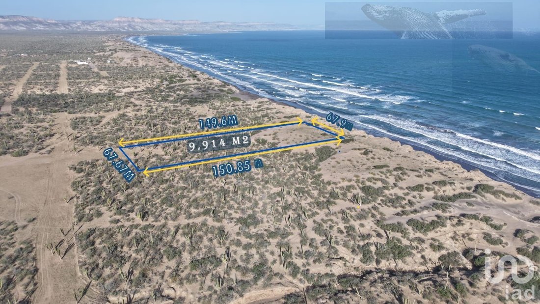 Land in Las Parcelas, Baja California Sur, Mexico 2 - 17646689