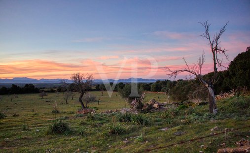 Land in Manacor, Balearic Islands, Spain 1