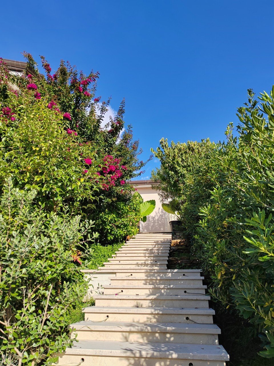 Villa in Strettoia-Capezzano-Valdicastello, Pietrasanta, Tuscany 4 - 17648293