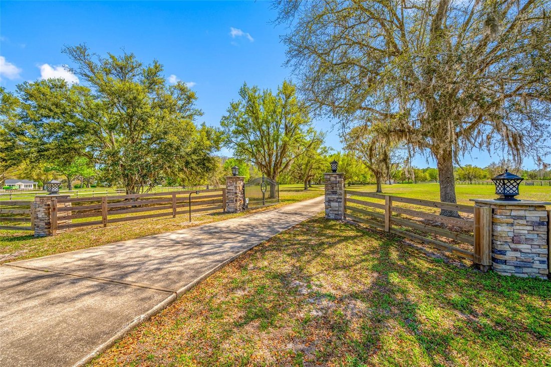 House in Spring Hill, Florida, United States 4 - 17645990