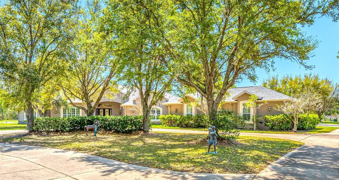 House in Spring Hill, Florida, United States 3 - 17645990