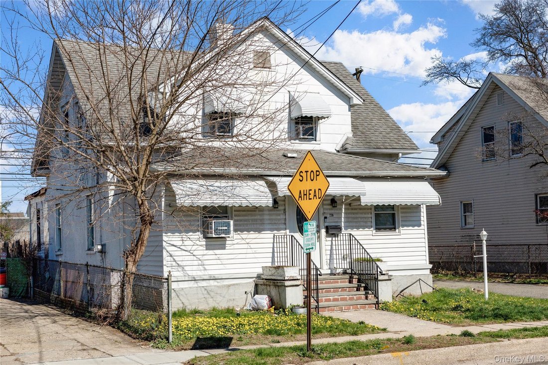House in Mineola, New York, United States 3 - 17533963