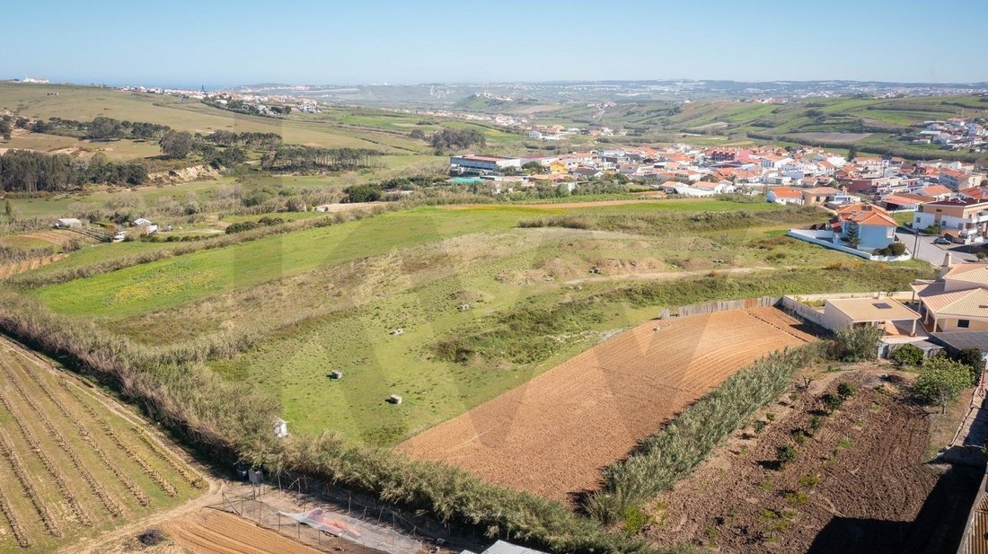 Land in Sao Pedro da Cadeira, Lisbon, Portugal 3 - 17489782