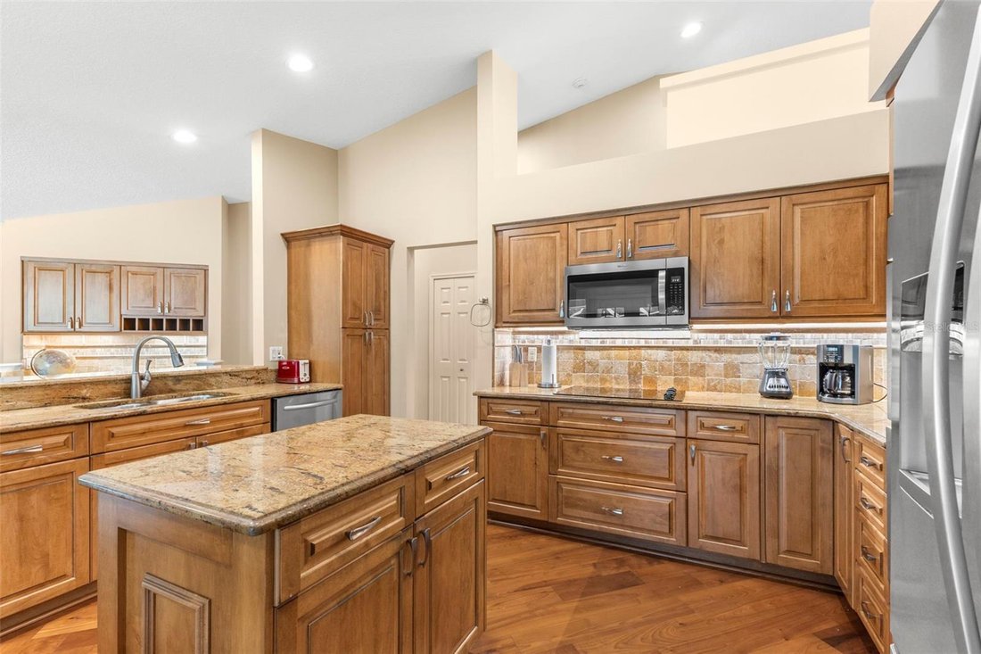 House in Palm Harbor, Florida, United States 5 - 17649248