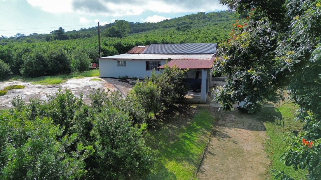 Farm Ranch in Hazyview, Mpumalanga, South Africa 4 - 17654033