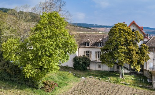 19th Century Château With 4,34 Hectare Wooded Park Swimming Pool Burgundy, Near Beaune