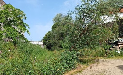 Terreno en Beja (Santiago Maior e Sao Joao Baptista), Distrito de Beja, Portugal 1