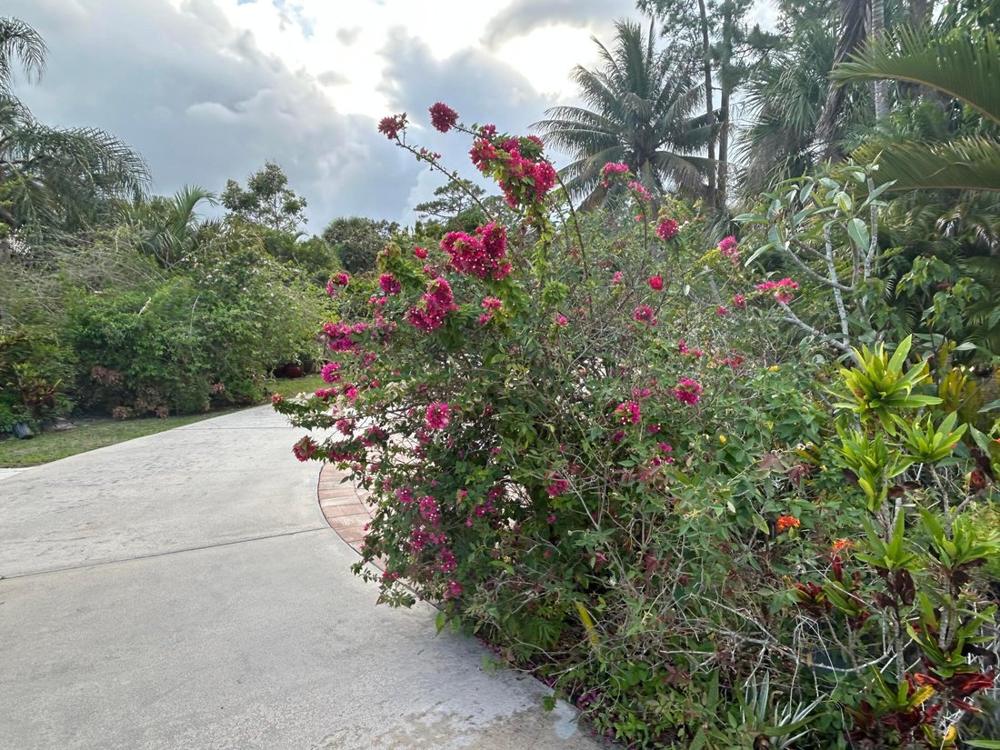 House in Lake Worth, Florida, United States 3 - 17657682