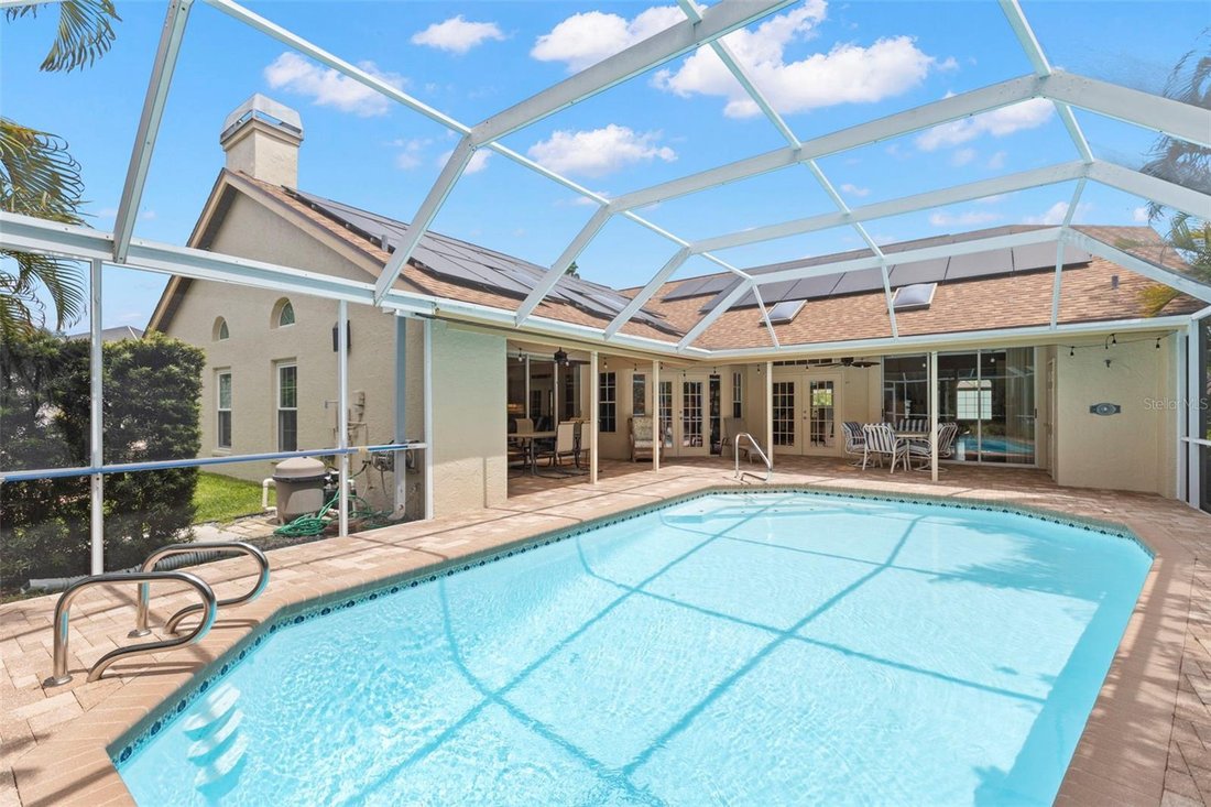 House in Palm Harbor, Florida, United States 4 - 17649248