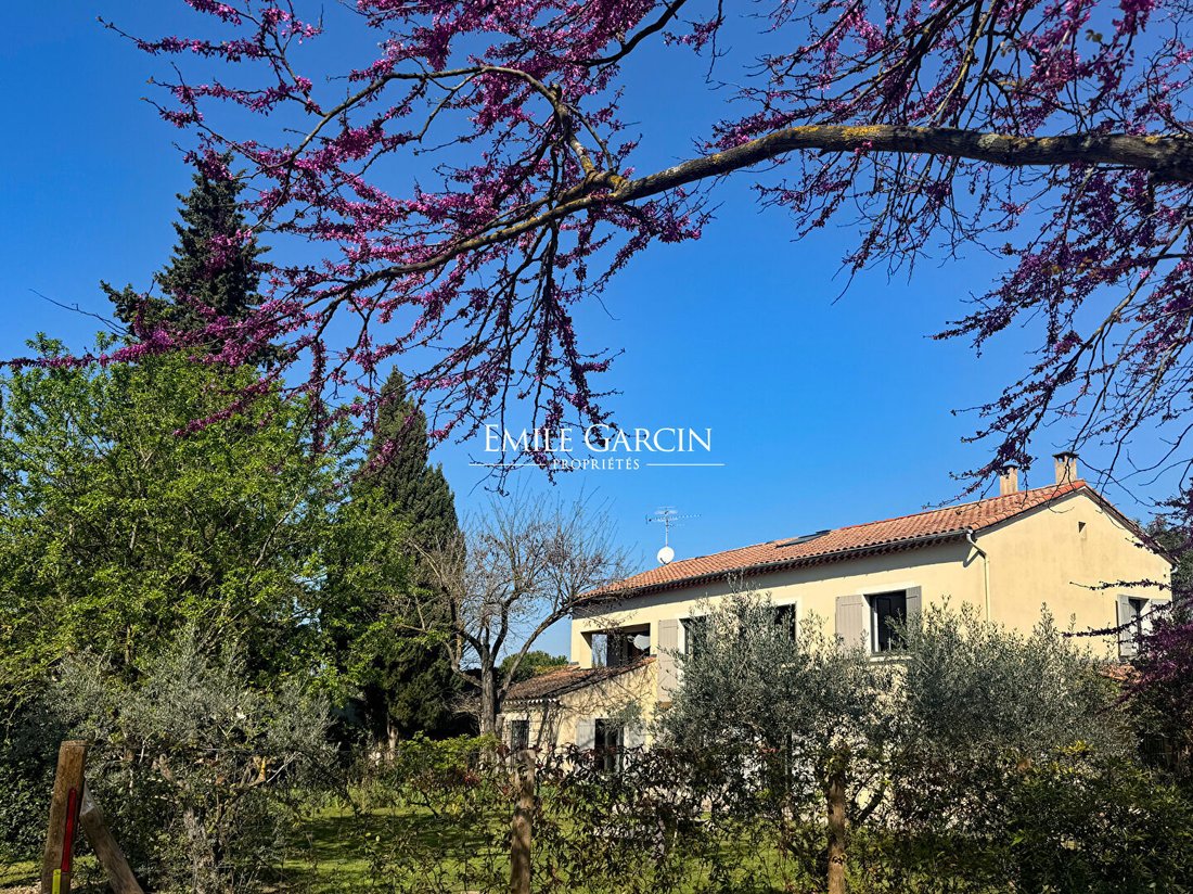 Villa in Saint-Rémy-de-Provence, Provence-Alpes-Côte d'Azur, France 4 - 15955425