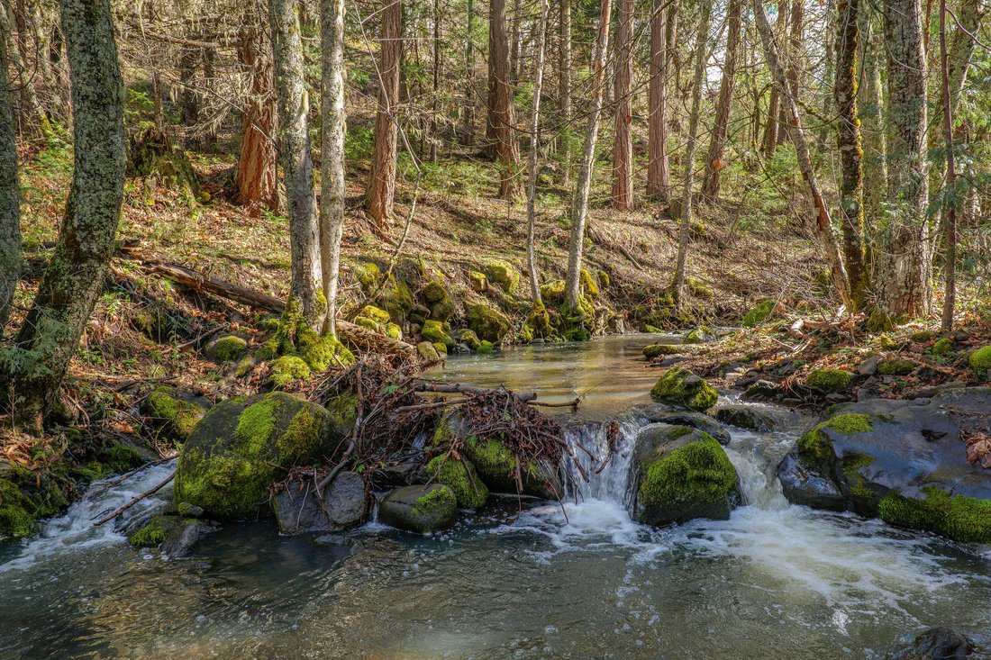 Land in Ashland, Oregon, United States 3 - 17651683