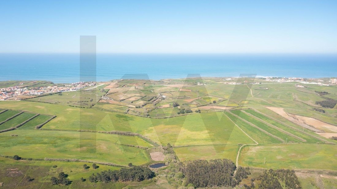 Land in Sao Pedro da Cadeira, Lisbon, Portugal 2 - 17489782