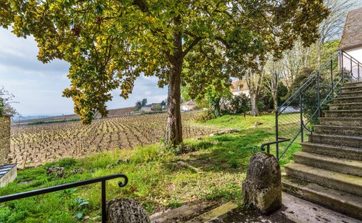 19th Century Château With 4,34 Hectare Wooded Park Swimming Pool Burgundy, Near Beaune