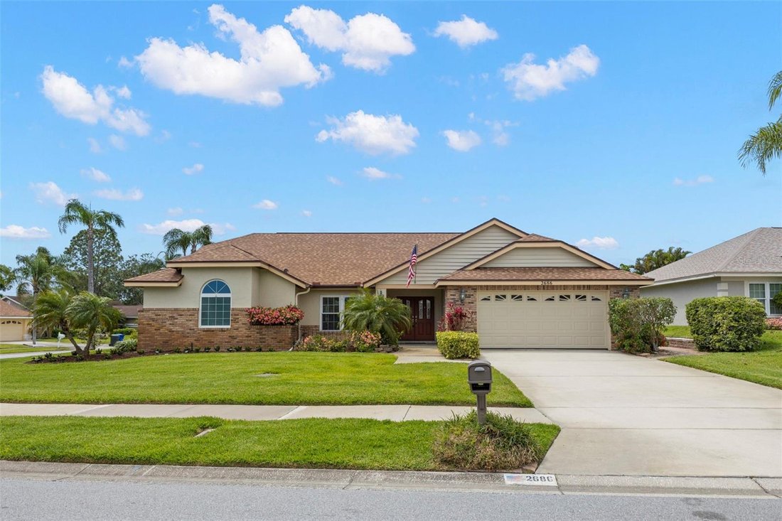 House in Palm Harbor, Florida, United States 1 - 17649248