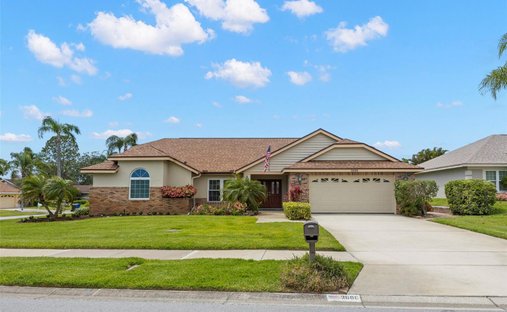House in Palm Harbor, Florida, United States 1