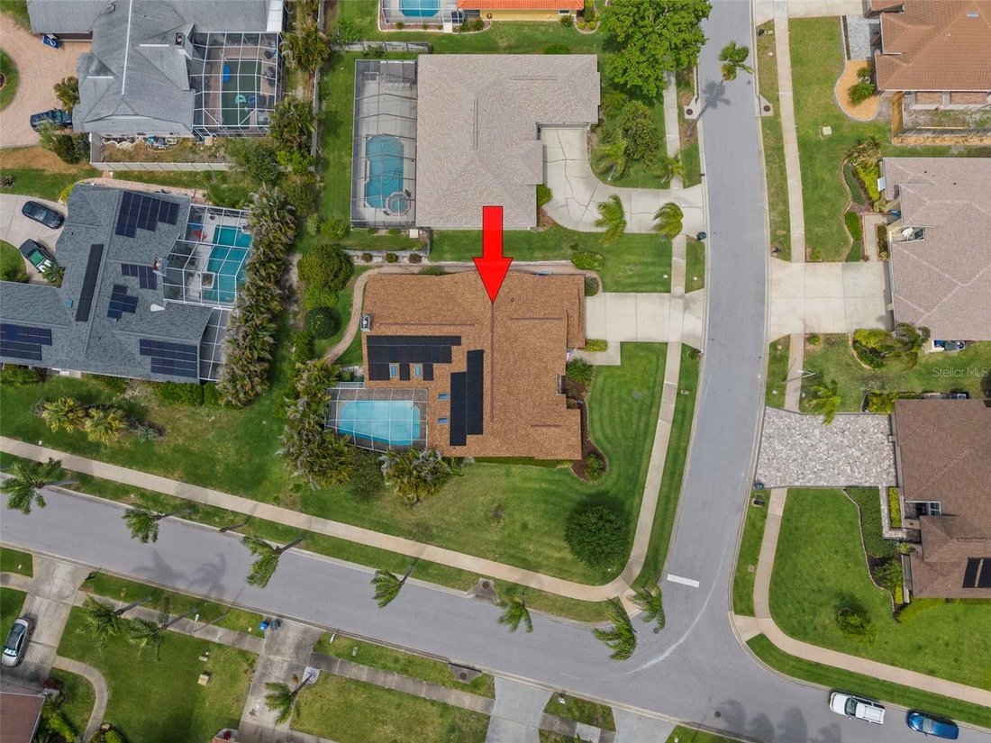 House in Palm Harbor, Florida, United States 3 - 17649248