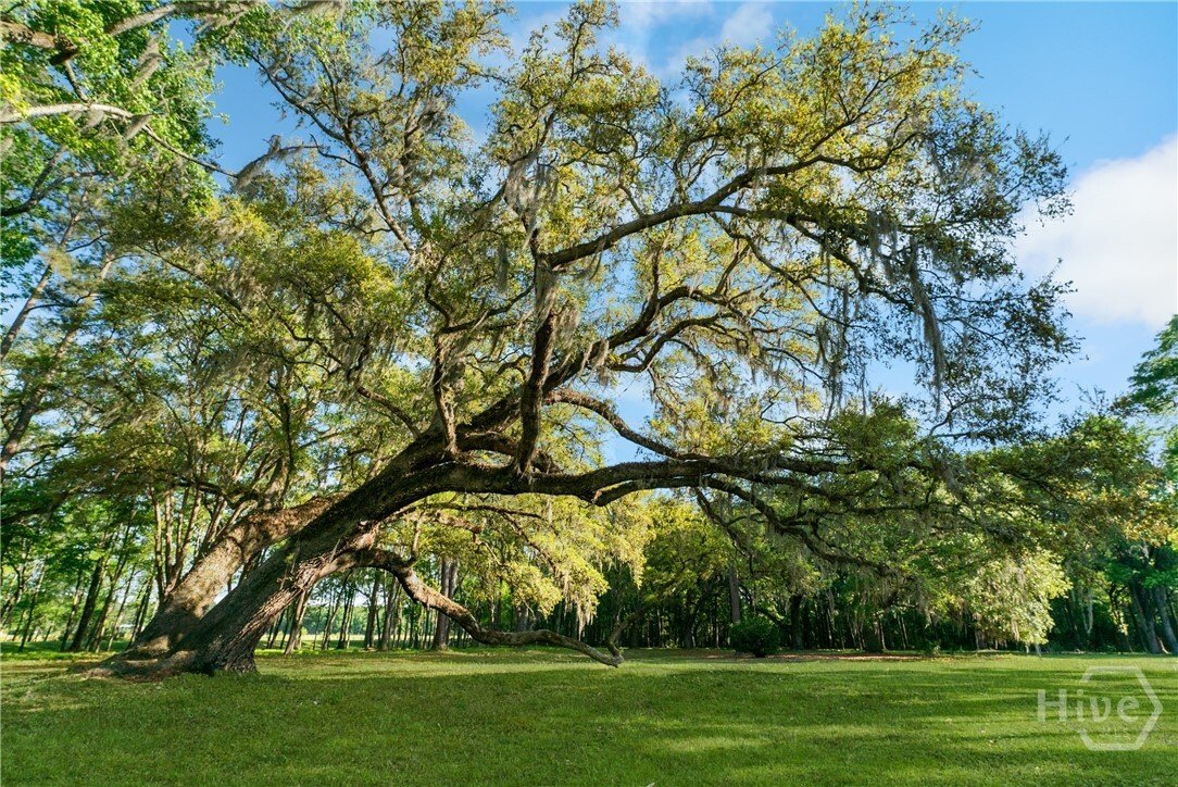 House in Guyton, Georgia, United States 4 - 17657564