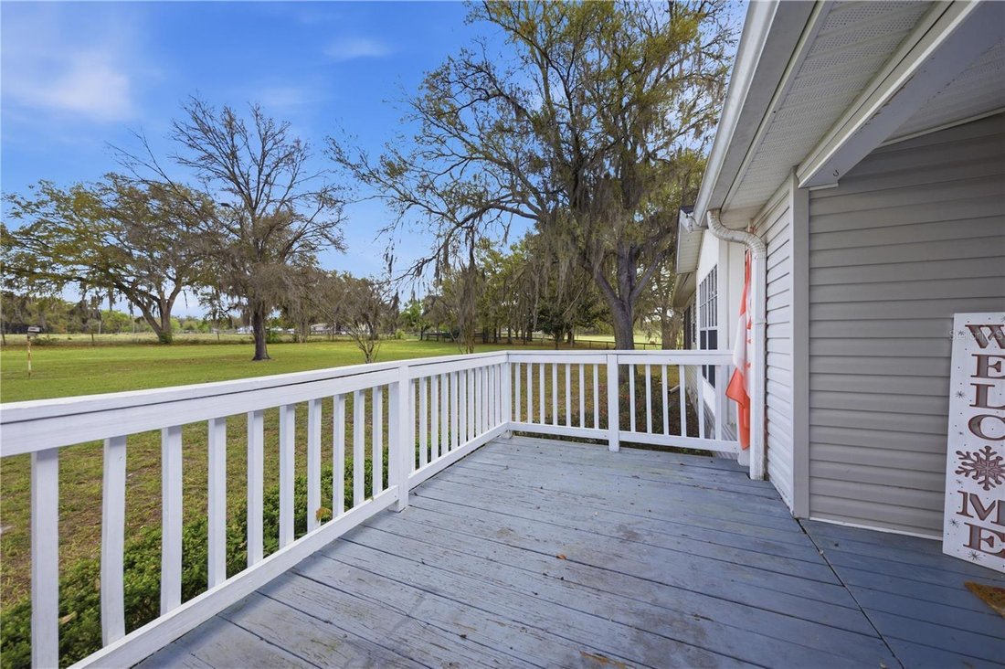 Williston, Florida, United States 3 - 17659883