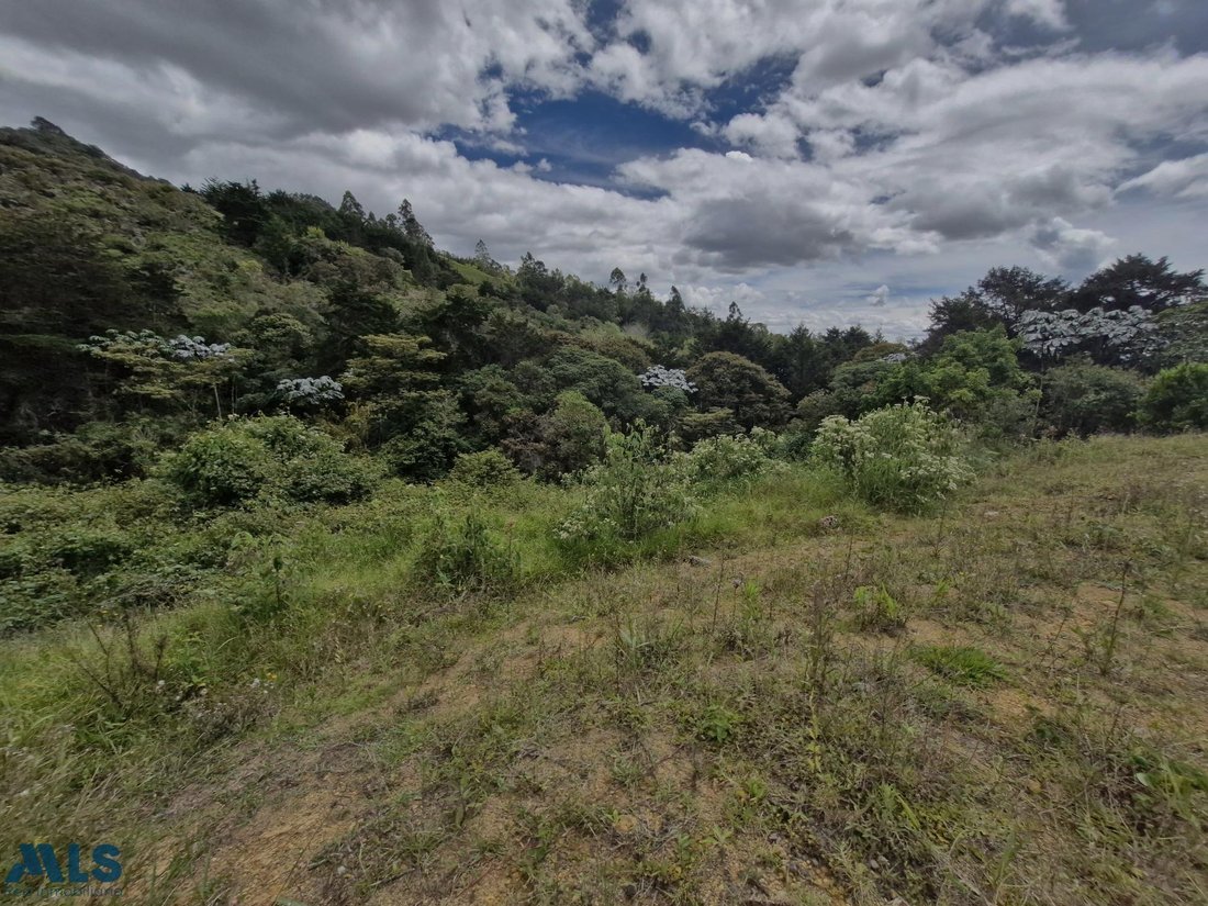 Land in Rionegro, Rionegro, Colombia 3 - 17652137