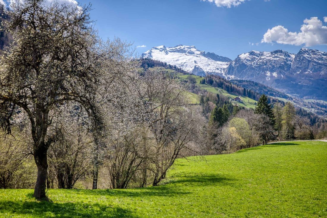 Apartment in Manigod, Auvergne-Rhône-Alpes, France 3 - 17653592