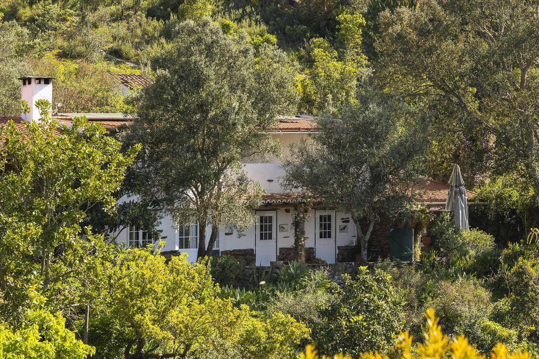 Finca à Santa Clara-a-Velha, Beja, Portugal 3 - 16557330