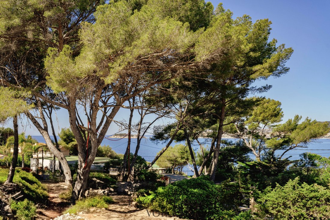 Apartment in Nord, Sanary-sur-Mer, France 1 - 16255976