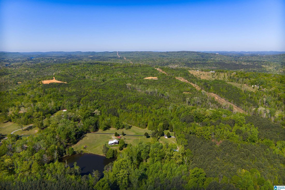 Land in Pell City, Alabama, United States 5 - 17659904
