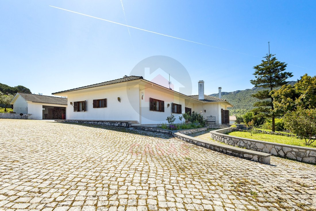 House in Minde, Santarem District, Portugal 2 - 17653037