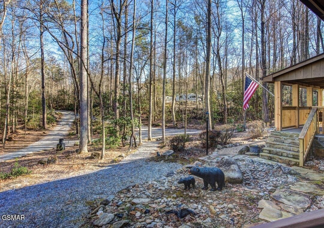 House in Cosby, Tennessee, United States 4 - 17653704