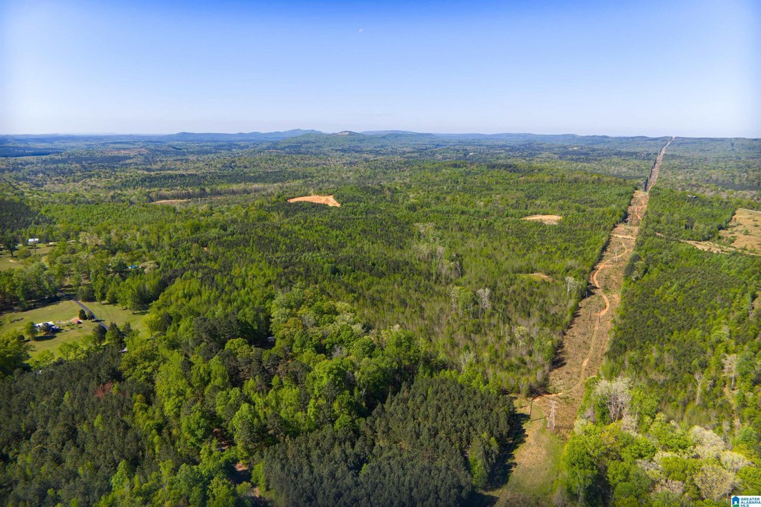 Land in Pell City, Alabama, United States 2 - 17659904