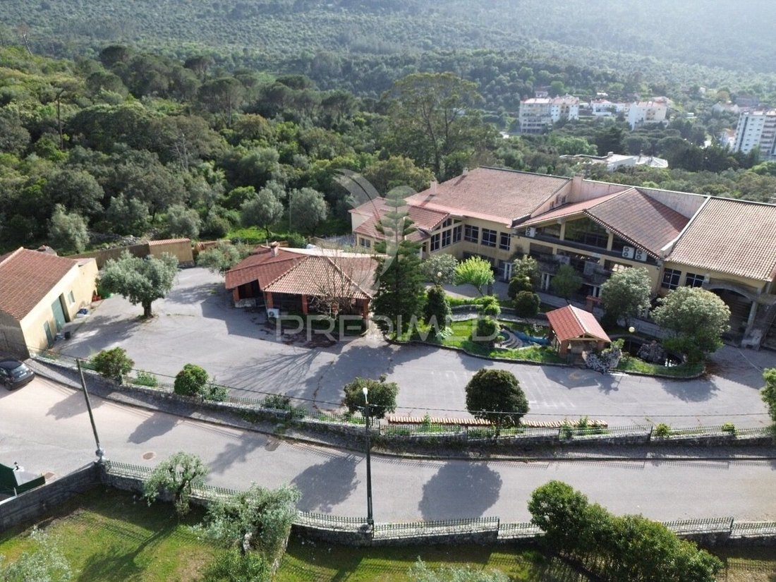 Farm Ranch in Minde, Santarem District, Portugal 1 - 17652623