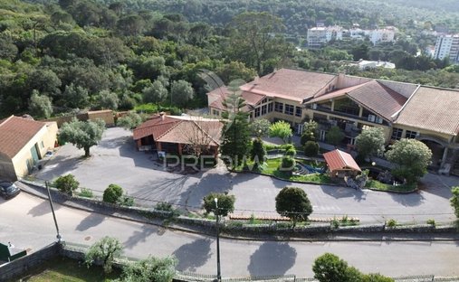 Azienda agricola a Minde, Distretto di Santarém, Portogallo 1