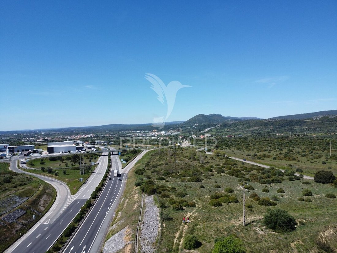 Land in Sao Pedro, Lapas e Ribeira Branca, Santarem District, Portugal 1 - 16858510