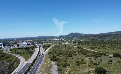 Terreno a Sao Pedro, Lapas e Ribeira Branca, Distretto di Santarém, Portogallo 1