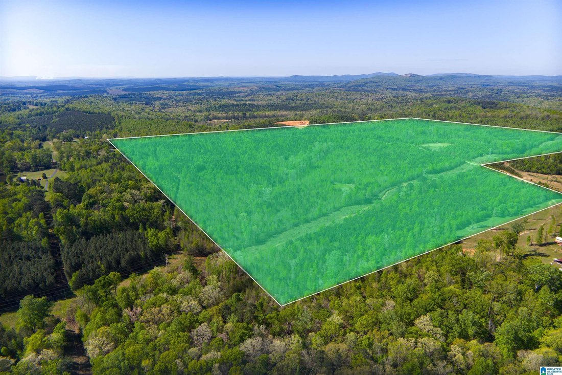 Land in Pell City, Alabama, United States 3 - 17659904