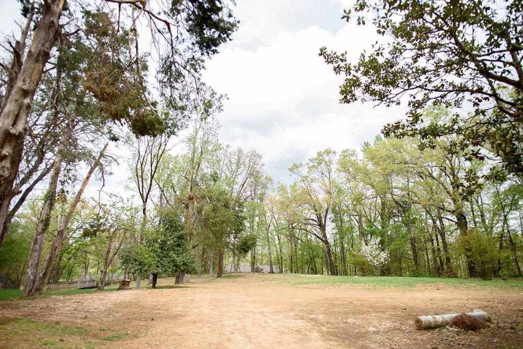 Land in Oxford, Mississippi, United States 4 - 17660731