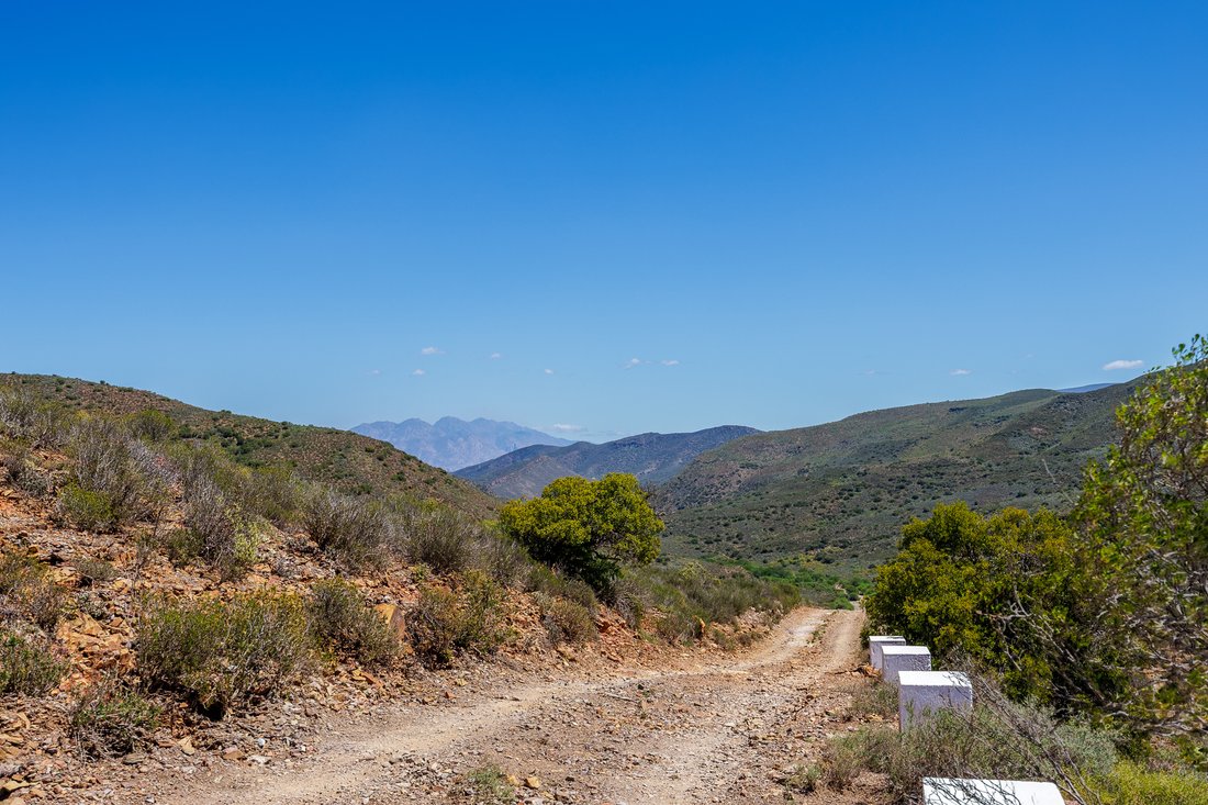 Corps de ferme à Municipalité locale de Langeberg, Cap occidental, Afrique du Sud 4 - 15963464