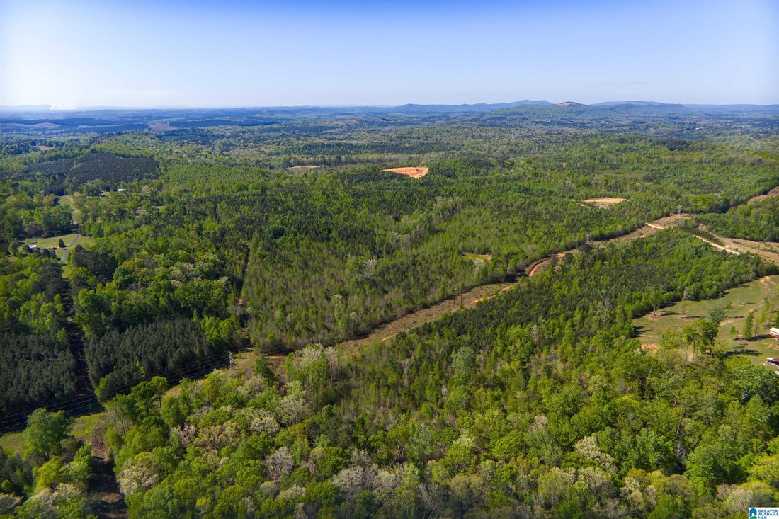 Land in Pell City, Alabama, United States 4 - 17659904