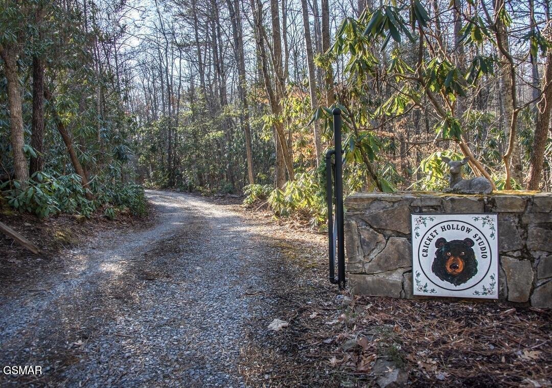 House in Cosby, Tennessee, United States 3 - 17653704