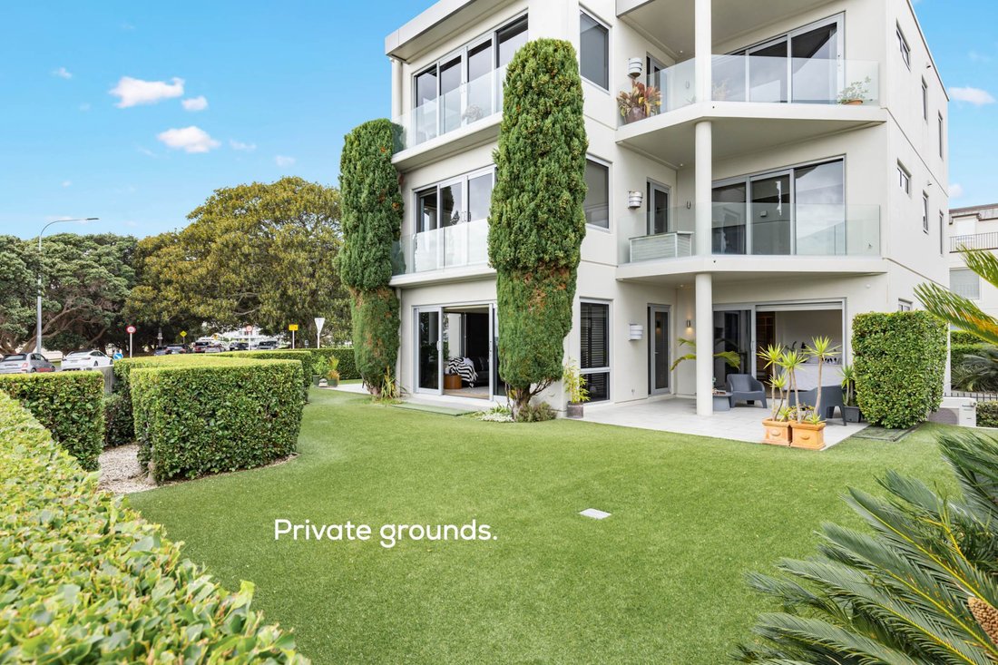 House in Auckland, Auckland, New Zealand 1 - 17657105