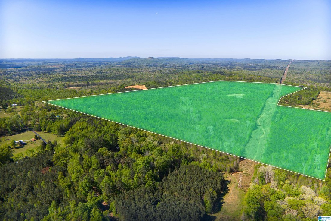 Land in Pell City, Alabama, United States 1 - 17659904