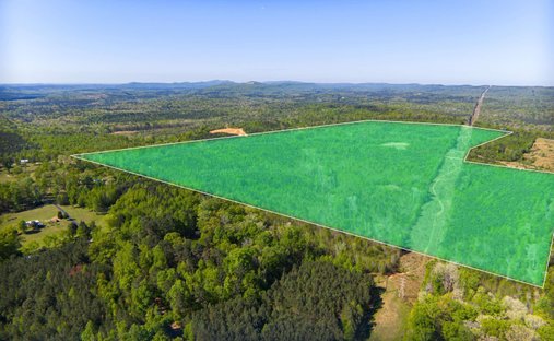 Terrain à Pell City, Alabama, États-Unis 1