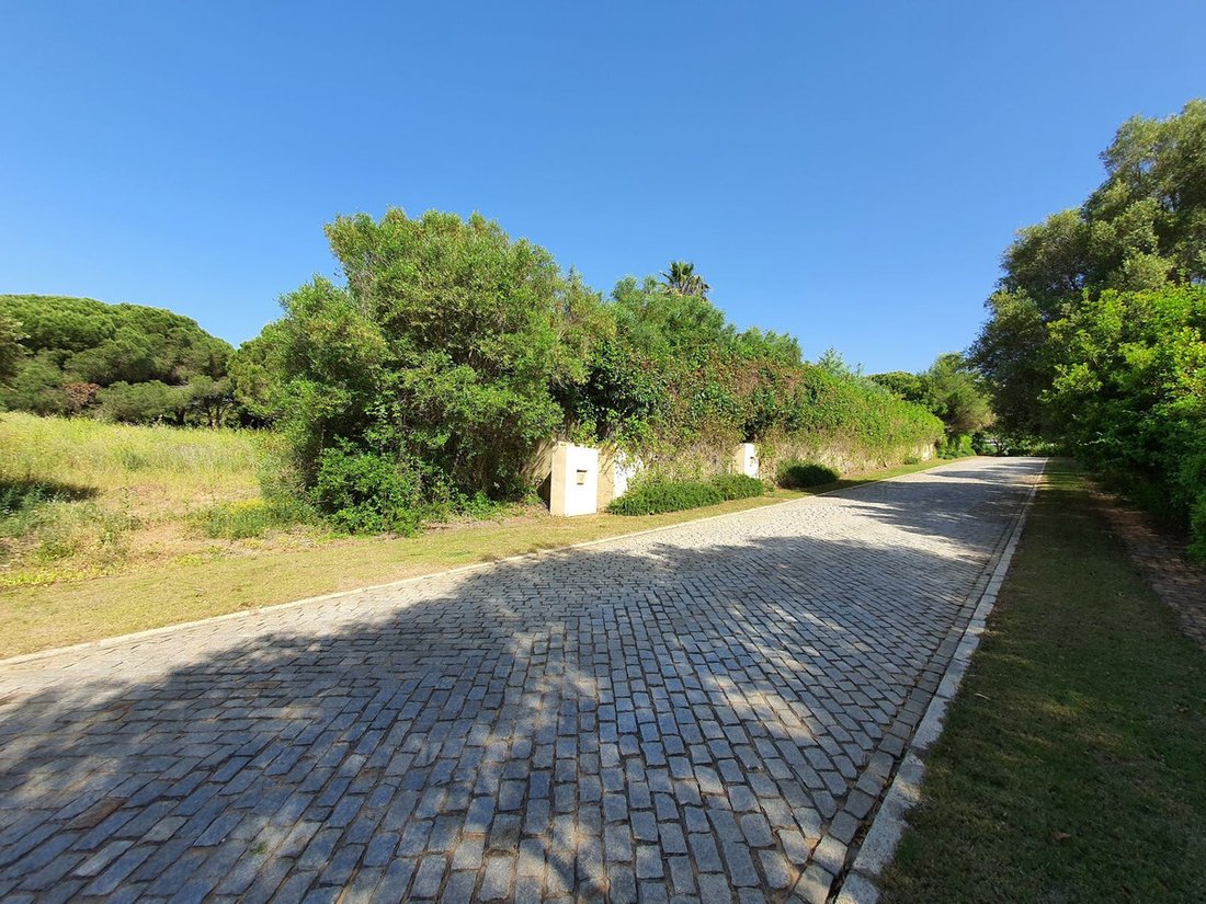 Terreno a Sotogrande, San Roque, Andalusia 1 - 17563679