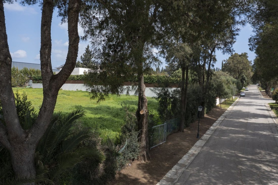 Terreno en Sotogrande, San Roque, Andalucía 3 - 17561470