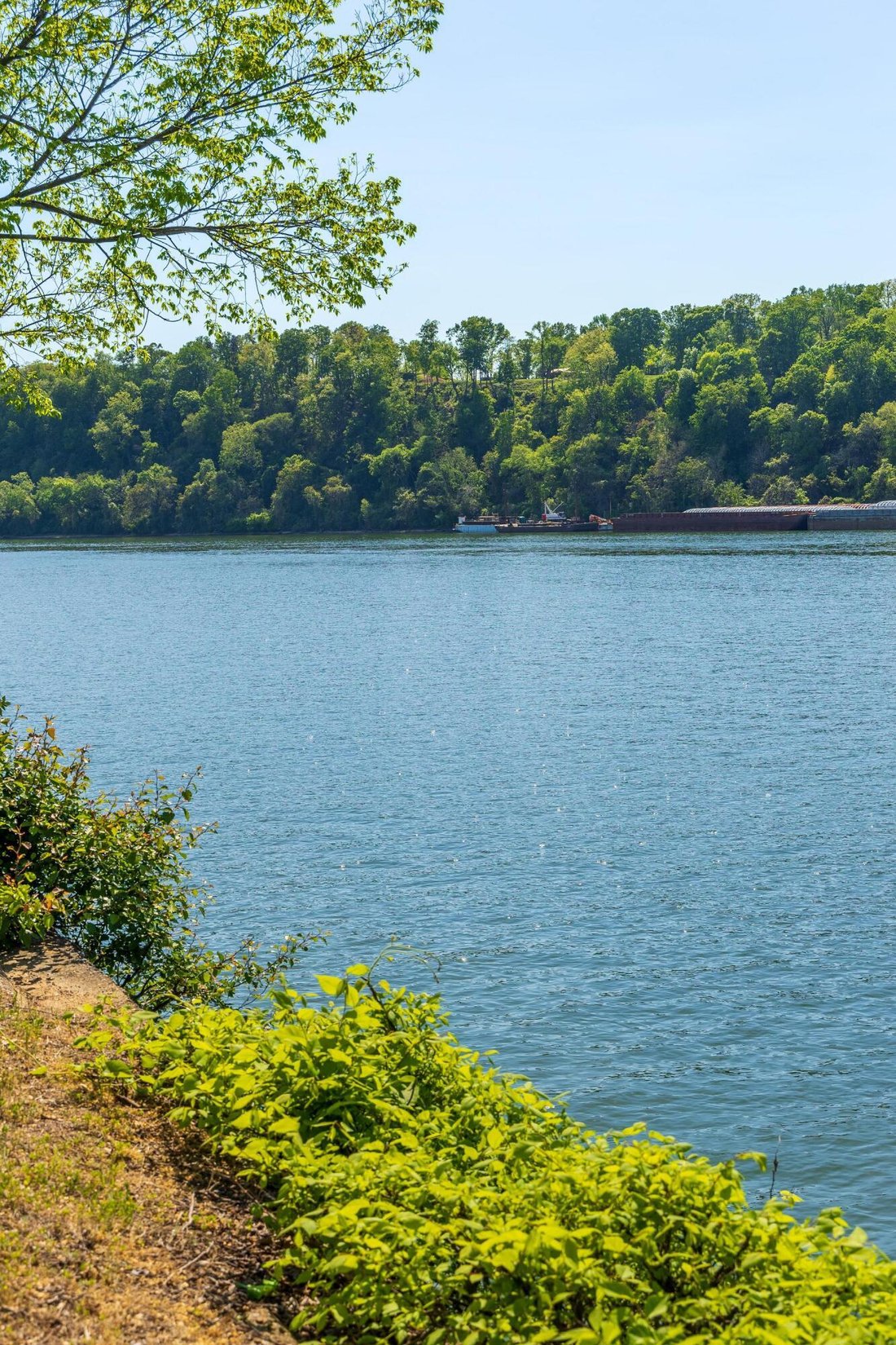 Condo in Chattanooga, Tennessee, United States 5 - 17654048