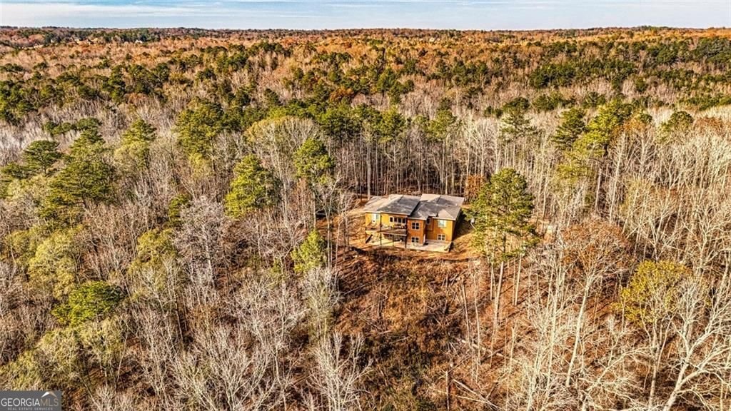 Douglasville, Georgia, United States 3 - 17468209