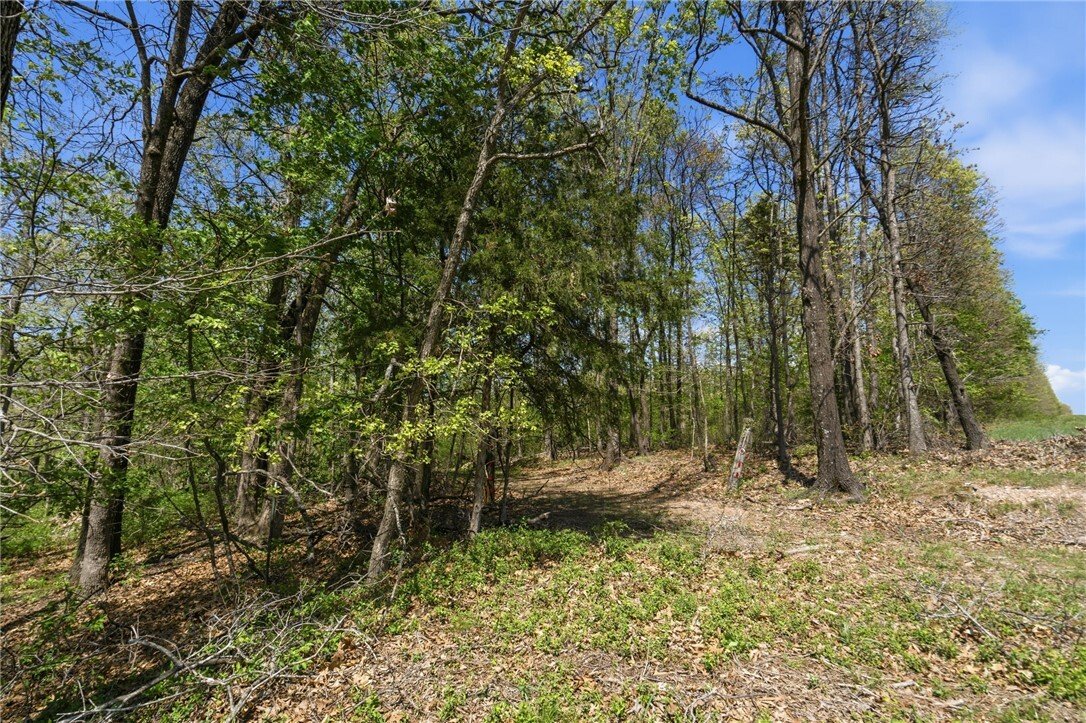 Land in Cave Springs, Arkansas, United States 2 - 16754048