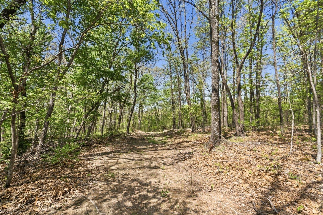 Land in Cave Springs, Arkansas, United States 3 - 16754048