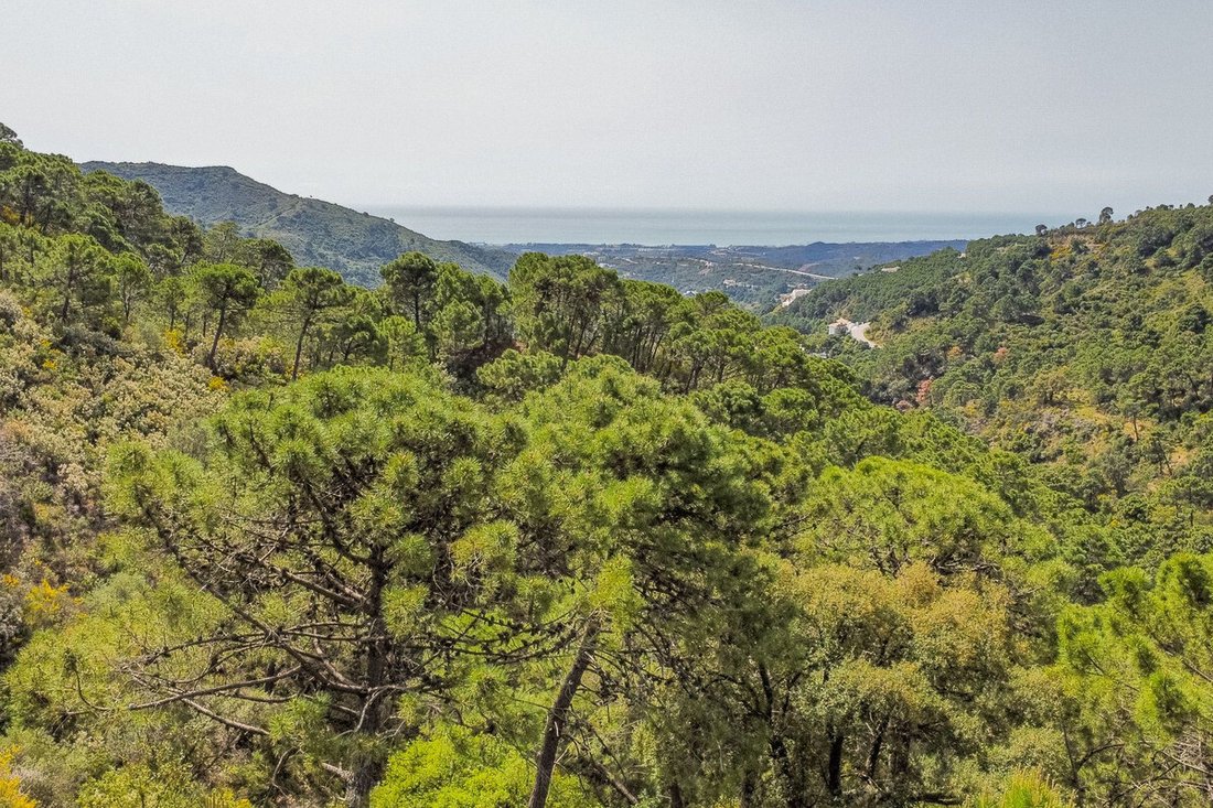 Terreno a Algeciras, Andalusia, Spagna 5 - 17559170