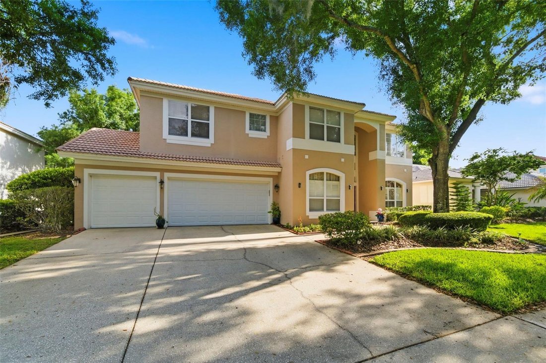House in Tampa, Florida, United States 3 - 17659876